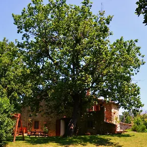  Bed & Breakfast Il Venaio